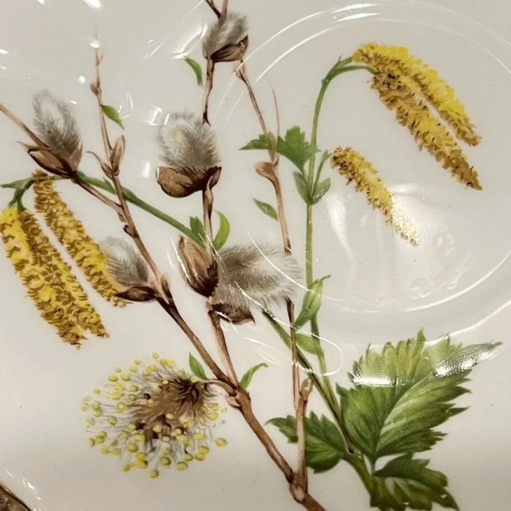 Vintage Adderley Willow Saucer Fine Bone China England